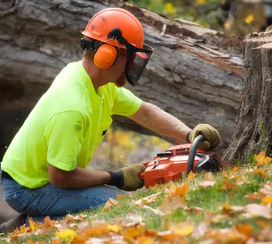 tree services Valier